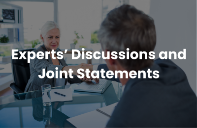 Experts Discussions and Joint Statements